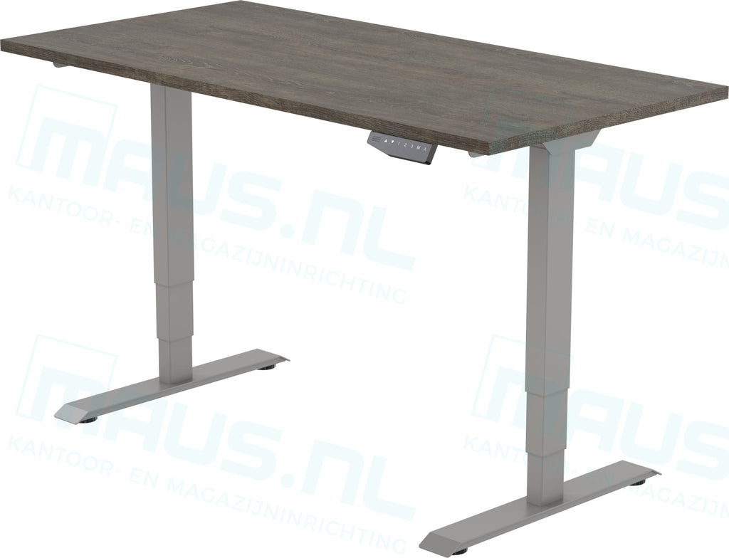 Elektrisch Bureau Dsq Euro 160X80Cm Bureaus