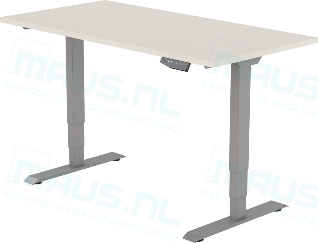 Elektrisch Bureau Dsq Euro 160X80Cm Bureaus