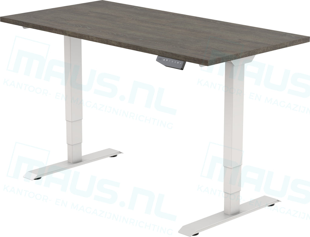 Elektrisch Bureau Dsq Euro 160X80Cm Bureaus