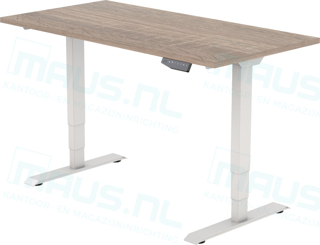 Elektrisch Bureau Dsq Euro 160X80Cm Bureaus