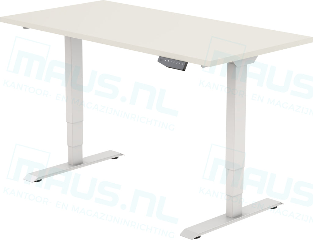 Elektrisch Bureau Dsq Euro 160X80Cm Bureaus