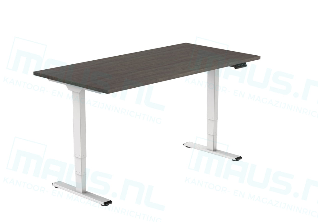 Elektrisch Bureau Dsq Euro125 160X80Cm Wit Ral 9016 / Logan Eiken Bureaus