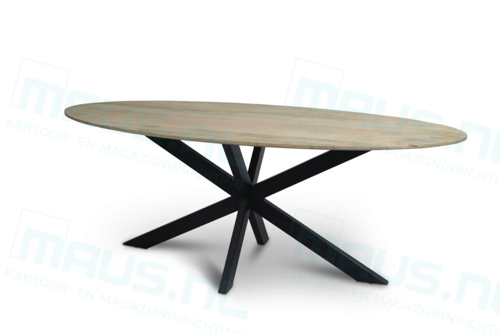 Tafel Tabl W2 Met Spinpoot Ovaal 200X110 Cm Bureaus