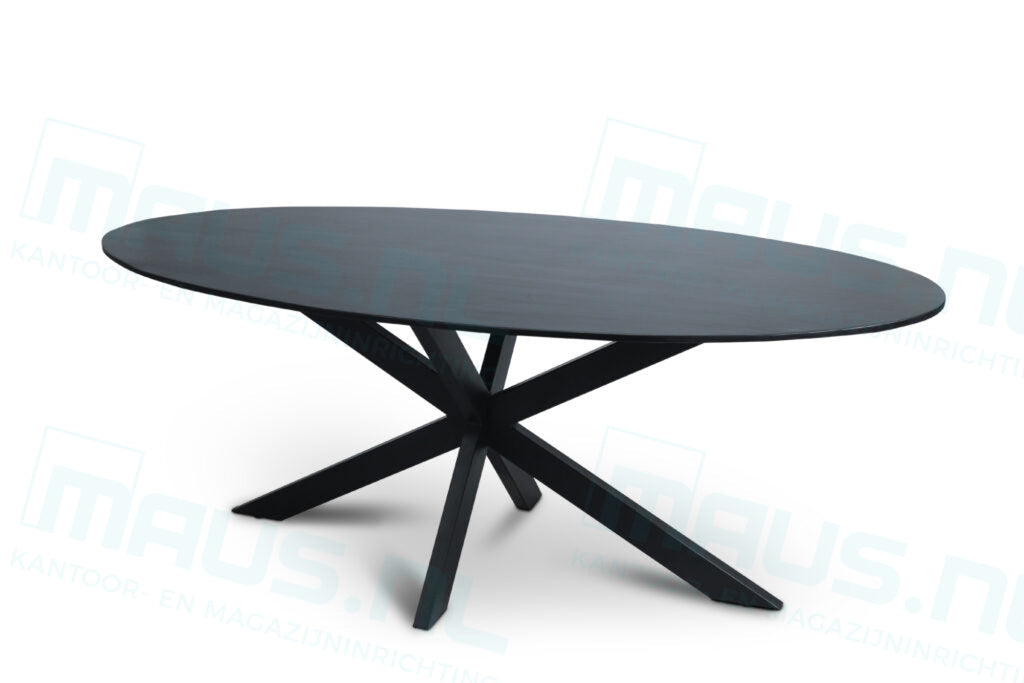 Tafel Tabl W2 Met Spinpoot Ovaal 200X110 Cm Bureaus