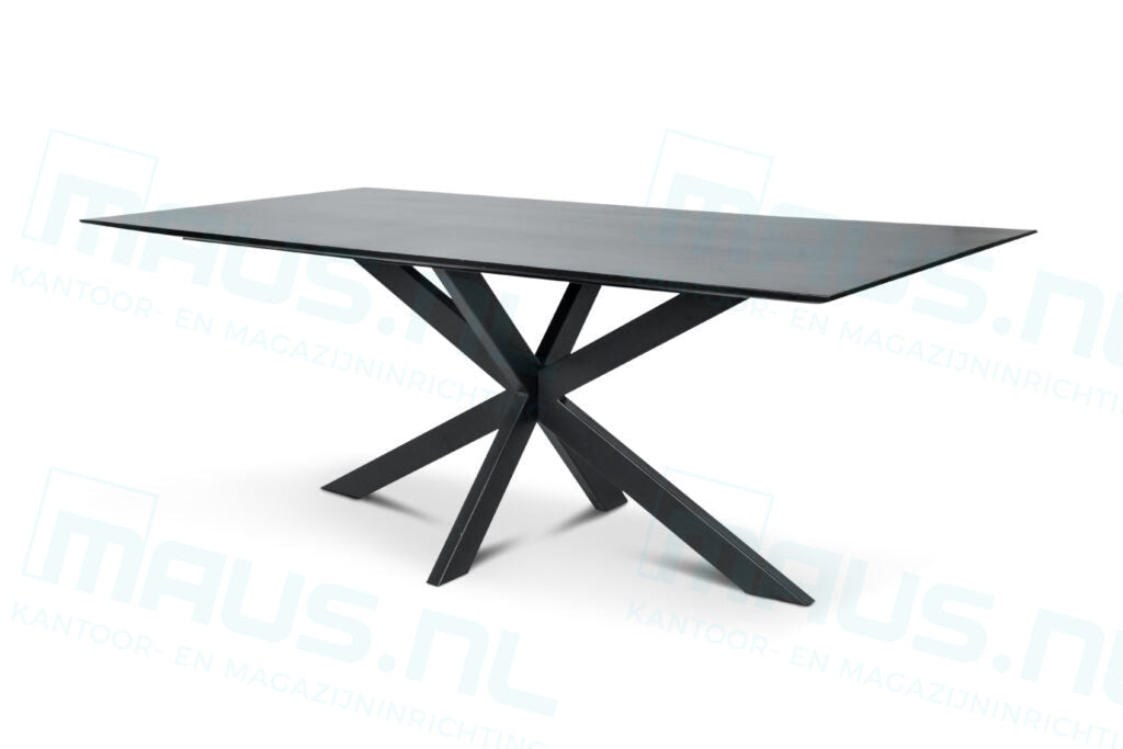 Tafel Tabl W2 Met Spinpoot Rechthoek 220X100 Cm Bureaus